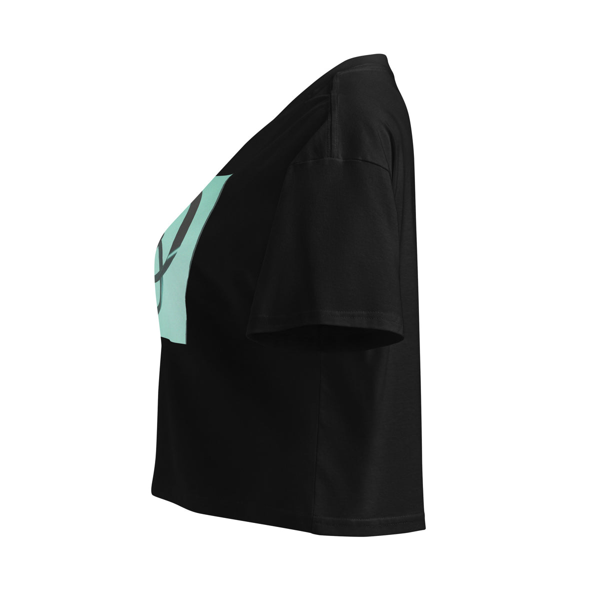 Paradox — Crop top